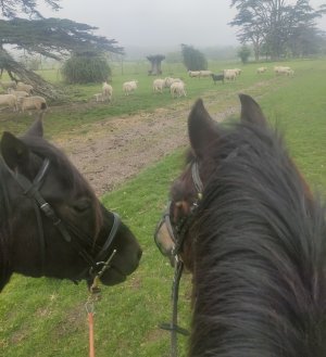 Screenshot_2025-04-27-11-07-02-74_99c04817c0de5652397fc8b56c3b3817.jpg Screenshot_2025-04-27-11-07-02-74_99c04817c0de5652397fc8b56c3b3817.jpg