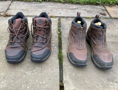 IMG_2340.jpeg IMG_2340.jpeg