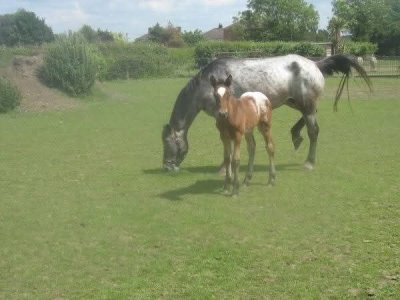 FB_IMG_1745958239230.jpg FB_IMG_1745958239230.jpg