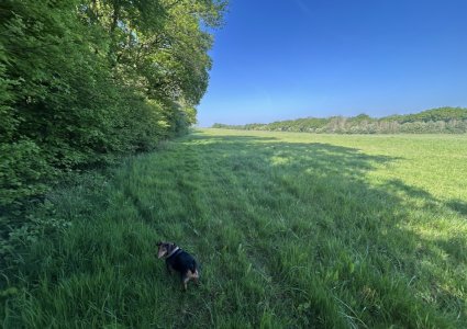 IMG_4191.jpeg