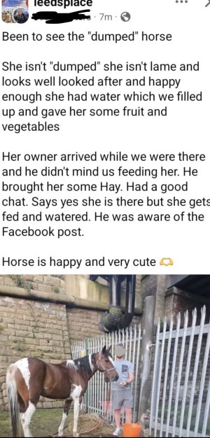 IMG_9146.jpeg IMG_9146.jpeg