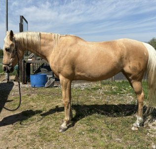 9ba83255-df12-4fcb-abbf-acdee4792a62.jpeg 9ba83255-df12-4fcb-abbf-acdee4792a62.jpeg