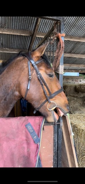 414E5182-B378-4985-99AA-7E2F730475C9.jpeg 414E5182-B378-4985-99AA-7E2F730475C9.jpeg