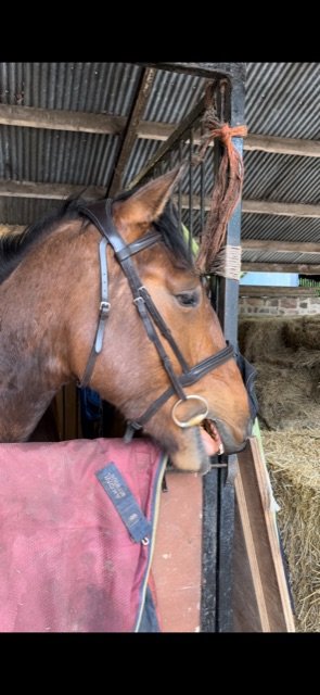 B71952DE-6411-48D7-909A-D46DC29B02C2.jpeg B71952DE-6411-48D7-909A-D46DC29B02C2.jpeg