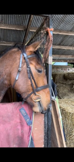 EDC728F9-D39B-450B-A895-1CF848573CDA.jpeg EDC728F9-D39B-450B-A895-1CF848573CDA.jpeg