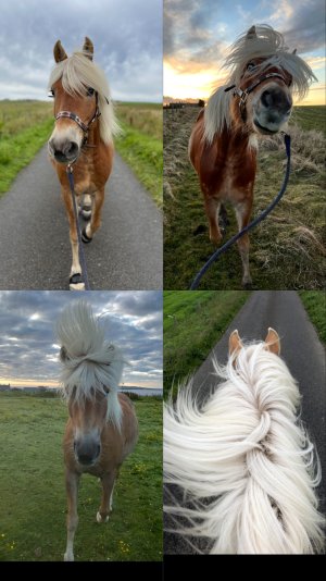 4FFBF94D-DC26-4D5C-AE35-726168EA151D.jpeg 4FFBF94D-DC26-4D5C-AE35-726168EA151D.jpeg