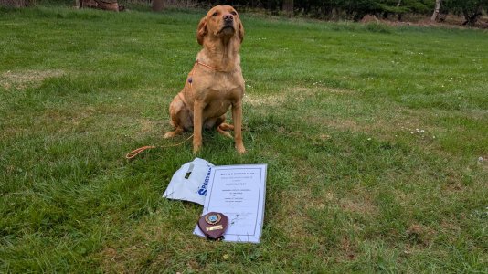 WhatsApp Image 2025-05-04 at 14.28.46.jpeg