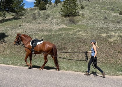 IMG_8892.jpeg IMG_8892.jpeg