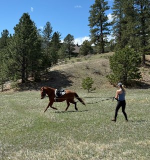 IMG_8893.jpeg IMG_8893.jpeg