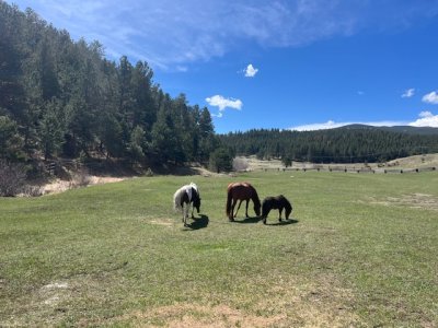 IMG_8844.jpeg IMG_8844.jpeg