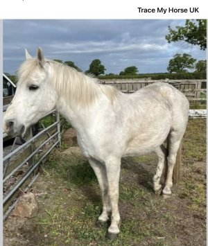 IMG_2349.jpeg IMG_2349.jpeg