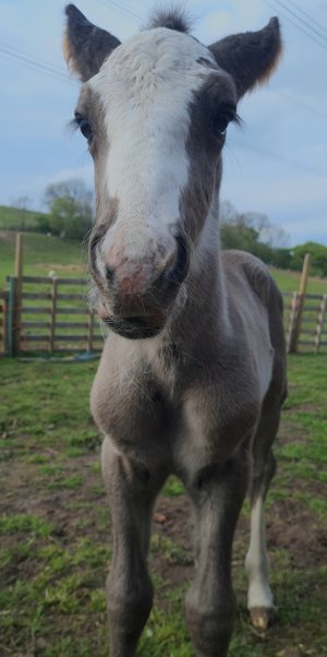 Screenshot_20250505_102753_Gallery.jpg Screenshot_20250505_102753_Gallery.jpg