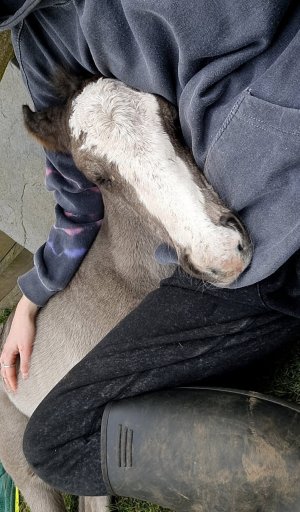 Screenshot_20250505_103612_Gallery.jpg Screenshot_20250505_103612_Gallery.jpg