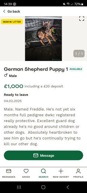 Screenshot_20250505_143936_Pets4Homes.jpg