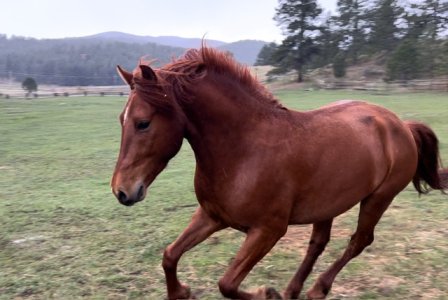 IMG_8917.jpeg IMG_8917.jpeg