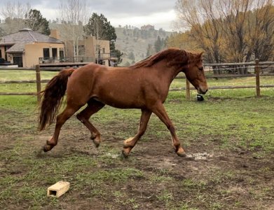 IMG_8919.jpeg IMG_8919.jpeg