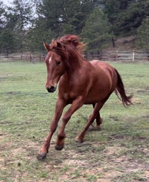 IMG_8918.jpeg IMG_8918.jpeg