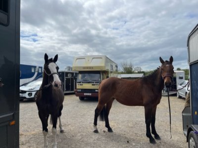 AA08B813-00FC-4727-AB51-C2C2BDEEE413.jpeg AA08B813-00FC-4727-AB51-C2C2BDEEE413.jpeg