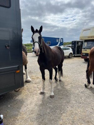 C442F36D-2105-40C6-AB84-952D8C828B95.jpeg C442F36D-2105-40C6-AB84-952D8C828B95.jpeg