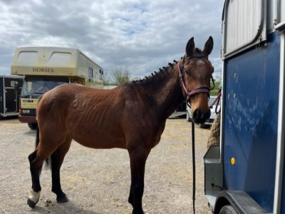 AC4B7AB4-74AE-434B-BDBE-1F062E6194F5.jpeg AC4B7AB4-74AE-434B-BDBE-1F062E6194F5.jpeg