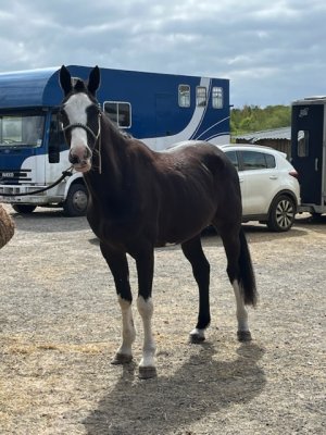 8B249A78-C55F-4BFA-AE51-B33D8F0880E0.jpeg 8B249A78-C55F-4BFA-AE51-B33D8F0880E0.jpeg