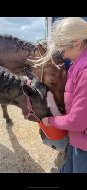 15C82FDF-2332-41B1-95F1-C231ED9DD06F.jpeg 15C82FDF-2332-41B1-95F1-C231ED9DD06F.jpeg