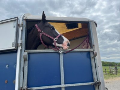 C2E73668-8D37-443B-B387-BAB3A383052E.jpeg C2E73668-8D37-443B-B387-BAB3A383052E.jpeg