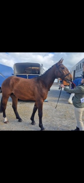 9678277C-7F1B-4023-975B-4C047002B6C7.jpeg 9678277C-7F1B-4023-975B-4C047002B6C7.jpeg