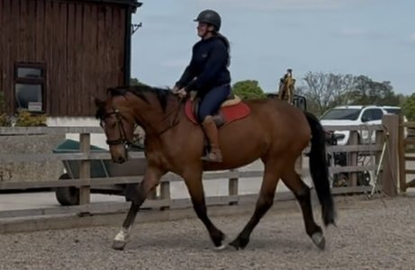 IMG_9545.jpeg IMG_9545.jpeg