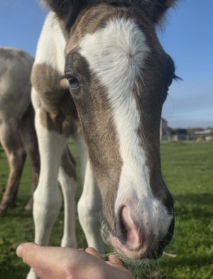 1000014533.jpg 1000014533.jpg