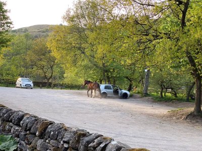 67d35938-b7dc-4ff5-8b05-f2c473c9487c.jpg 67d35938-b7dc-4ff5-8b05-f2c473c9487c.jpg