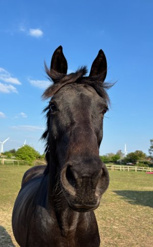 IMG_4397.jpeg IMG_4397.jpeg