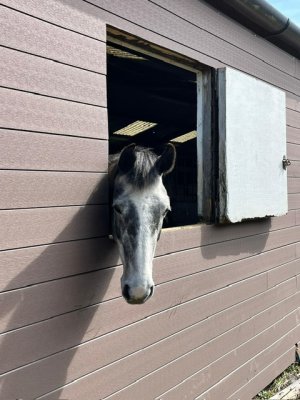 7d4dcba8-41da-437e-99b2-a6de5f570635.jpeg 7d4dcba8-41da-437e-99b2-a6de5f570635.jpeg