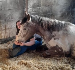 Rabbit.-2.jpg Rabbit.-2.jpg