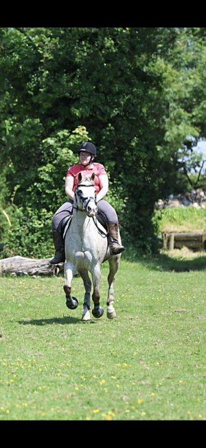 Baggs fun ride.jpg Baggs fun ride.jpg