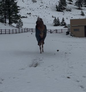 IMG_8965.jpeg IMG_8965.jpeg