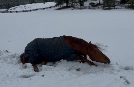 IMG_8963.jpeg IMG_8963.jpeg