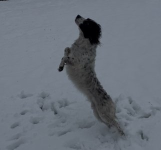 IMG_8964.jpeg IMG_8964.jpeg