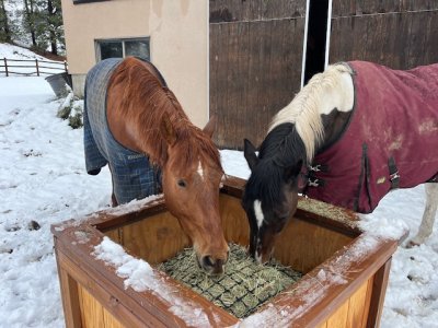 IMG_8958.jpeg IMG_8958.jpeg