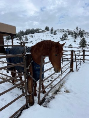 IMG_8947.jpeg IMG_8947.jpeg