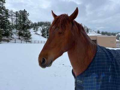 IMG_8953.jpeg IMG_8953.jpeg