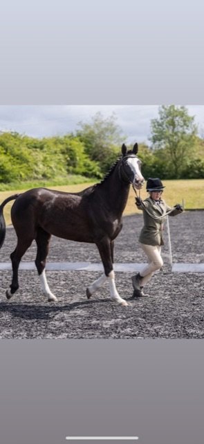 A39D6E87-3505-4A5D-9106-D8DA50AD6853.jpeg A39D6E87-3505-4A5D-9106-D8DA50AD6853.jpeg