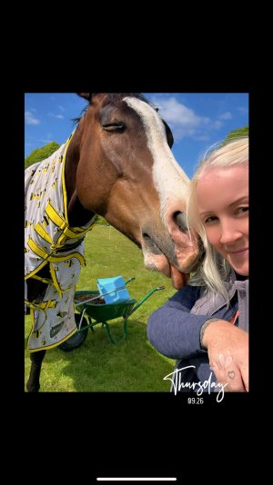 IMG_5302.jpeg IMG_5302.jpeg