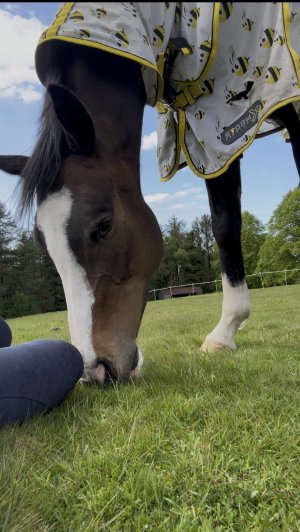 IMG_5299.jpeg IMG_5299.jpeg