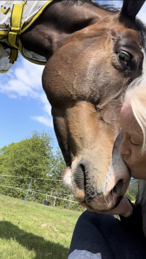 IMG_5298.jpeg IMG_5298.jpeg