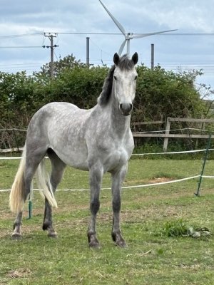 IMG_4653.jpeg IMG_4653.jpeg