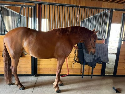 cfaa374f-ad99-4a52-ad25-ed67841325c7.jpeg cfaa374f-ad99-4a52-ad25-ed67841325c7.jpeg