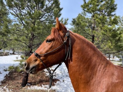 IMG_8975.jpeg IMG_8975.jpeg