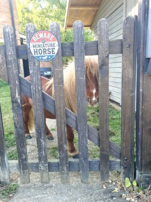 Screenshot_20250508_165950_Gallery.jpg Screenshot_20250508_165950_Gallery.jpg