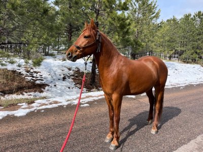 IMG_8984.jpeg IMG_8984.jpeg